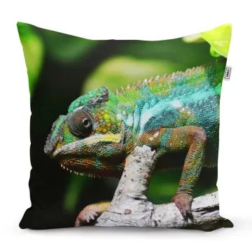 Polštář Chameleon