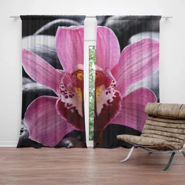 Závěsy Růžová orchidea: 2 ks - 140x250 cm - Sablio