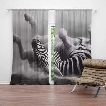 Závěsy Válející se zebra: 2 ks - 140x250 cm - Sablio