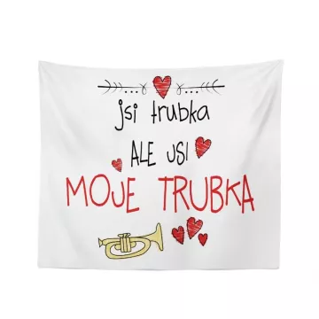 Dárková deka Jsi trubka, ale jsi moje trubka: 150x120 cm - Sablio